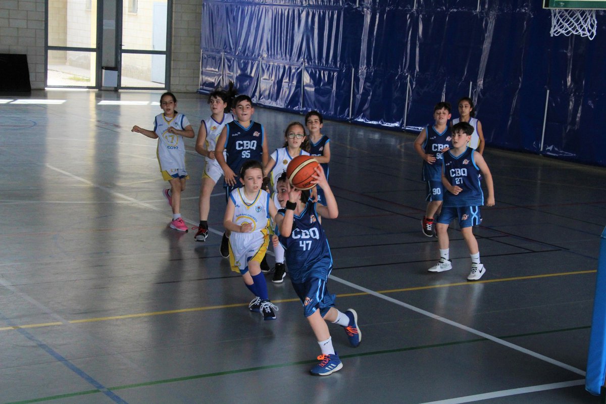 CBQalat's tweet photo. 🔹🔸 PREMINI MIXTO
Primer partido de la jornada del #PreminiMixto, que se enfrentaba ayer a @BaloncestoCoria en casa #Valorcesto
@gsus_sr @Davidjpino
🔵🟠 #GoQalat https://t.co/k4mzfw4Xyl