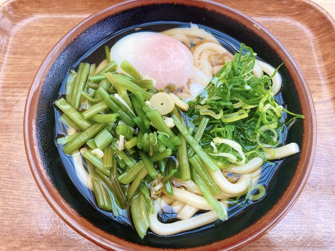 卵、ネギ、山菜、うどん 好きな物全部詰め込んだ物を食べさせると出る顔 https://t.co/Iher25YcPj