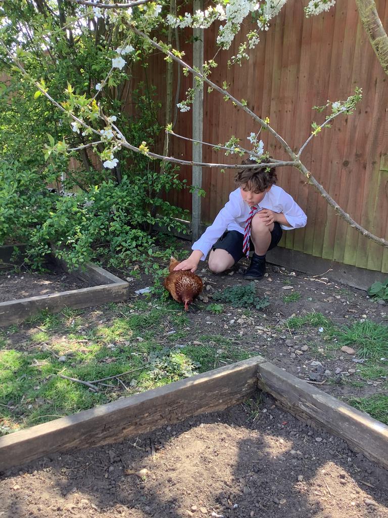 Ruby Red continues to gather more Burhill buddies 🥰