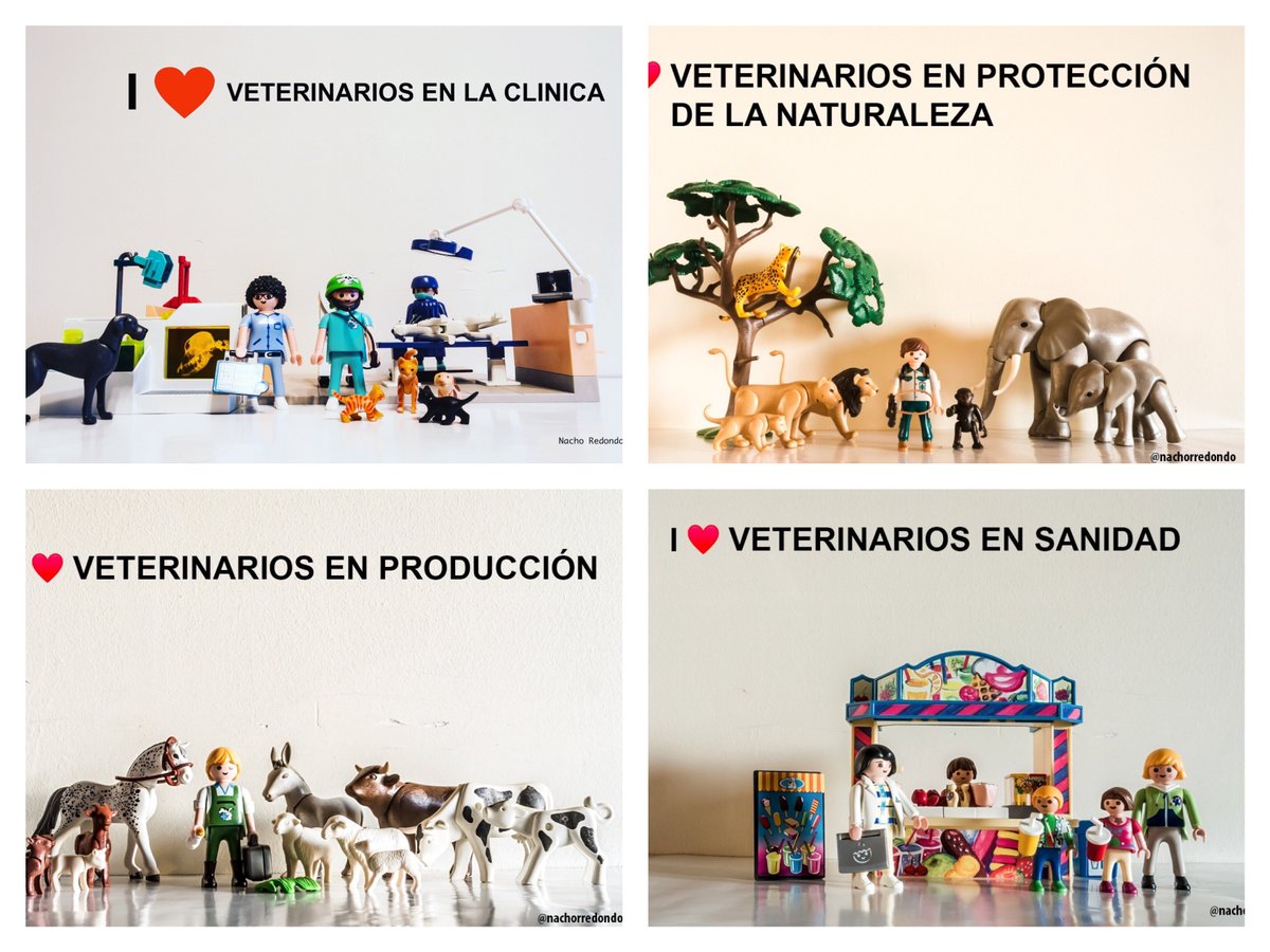 Hoy es el #DiaMundialVeterinaria. Felicidades, compañeros de la profesión más bonita del mundo, sea cual sea la rama en la que trabajáis #orgullosodeserveterinario 🐶🐱🐴🐮🐭🥩🐟🔬🦠🦁🐯🐊