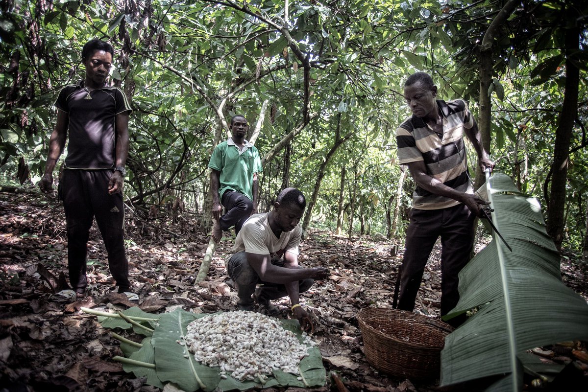 <a href="/FlakPhoto/">Andy Adams</a> Hi from Accra!