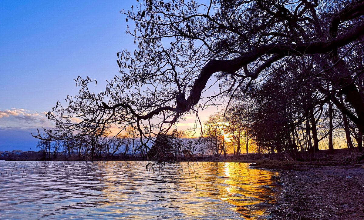 Laku_Lance's tweet image. Gold Coast in #Helsinki #Finland #Suomi #photography #travel #StormHour #nature #sunset #photograph #photo #landscape #WeekendVibes  #cycling #Spring #cyclinglife #SaturdayMotivation