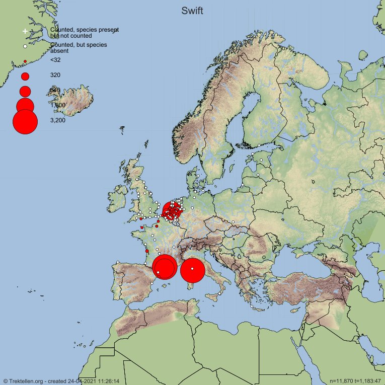 Lewes Swifts (@lewesswifts) on Twitter photo The #Swifts are just across the sea from #Lewes now! Thank you <a href="/trektellen/">Trektellen.org</a> - trektellen.org The #Swifts are just across the sea from #Lewes now! Thank you <a href="/trektellen/">Trektellen.org</a> - trektellen.org