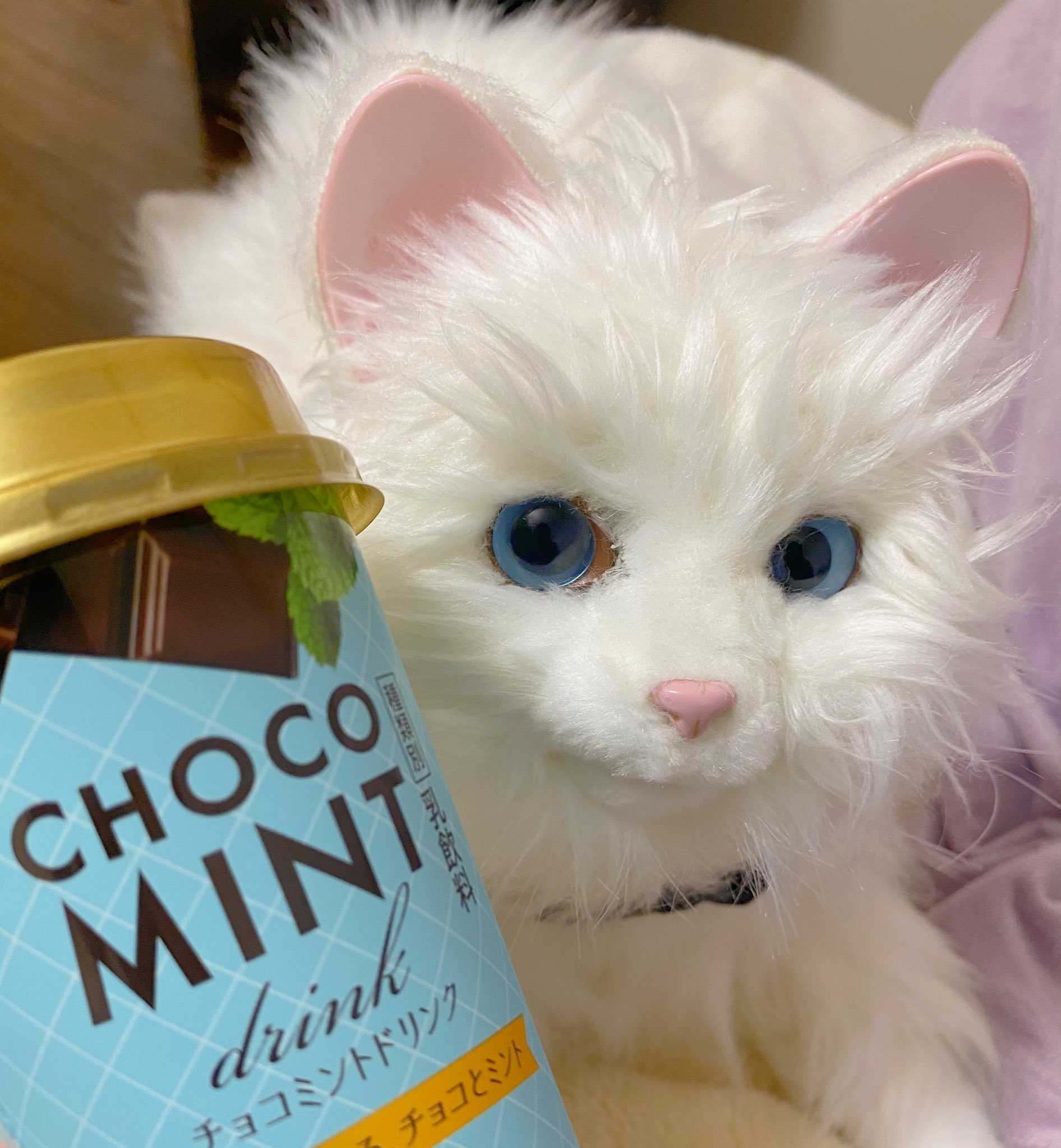 チョコミントドリンク Twitter Search Twitter