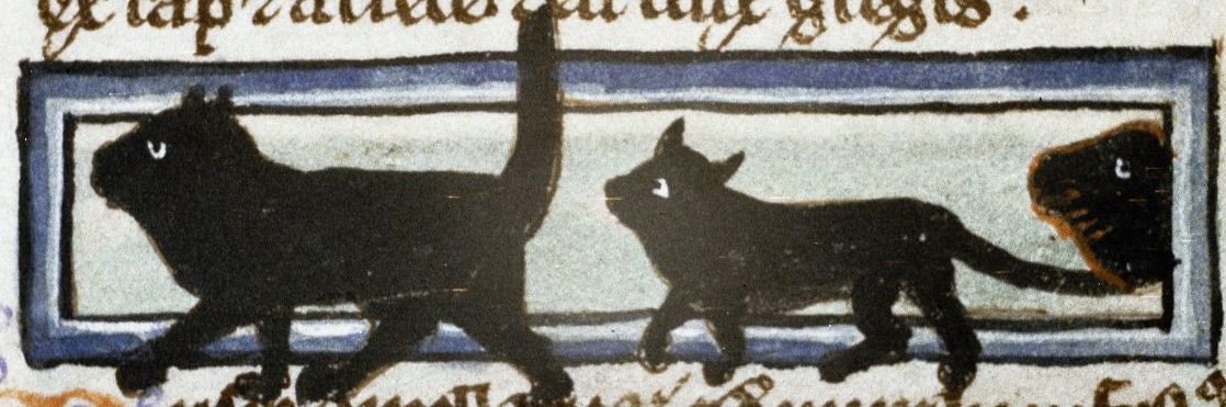  #NationalPetMonth and  #Caturday Dominican writer Thomas of Cantimpré (1201-1272) was intrigued by cats' purring: "They delight in being stroked by the hand of a person and they express their joy with their own form of singing" (Bodleian, Ms Bodley 533 f. 13r)