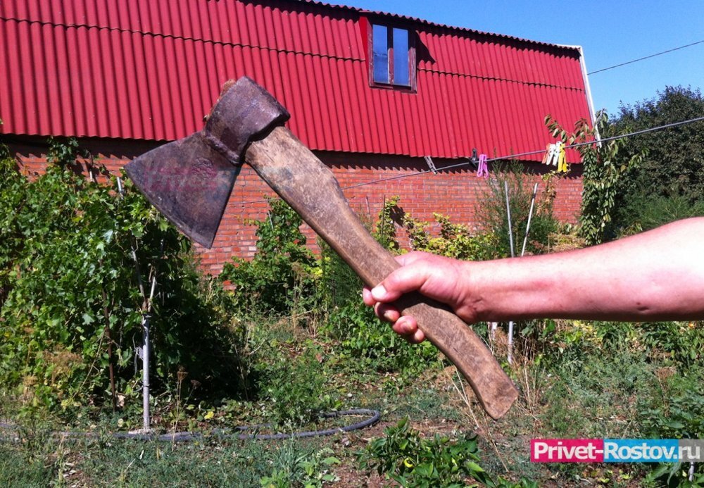 абакан человек с топором