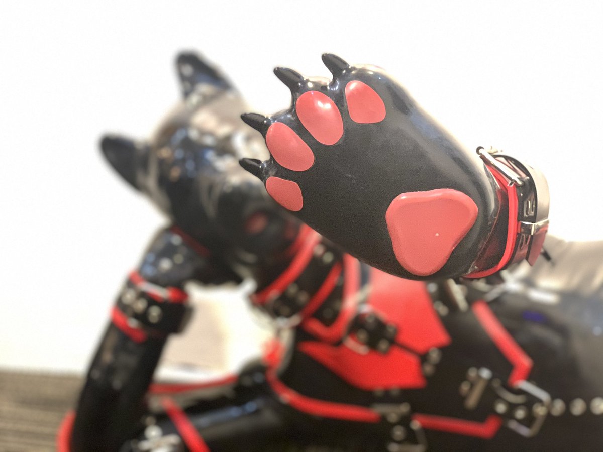 わんわんおーฅ•ω•ฅ

#大阪エルベース