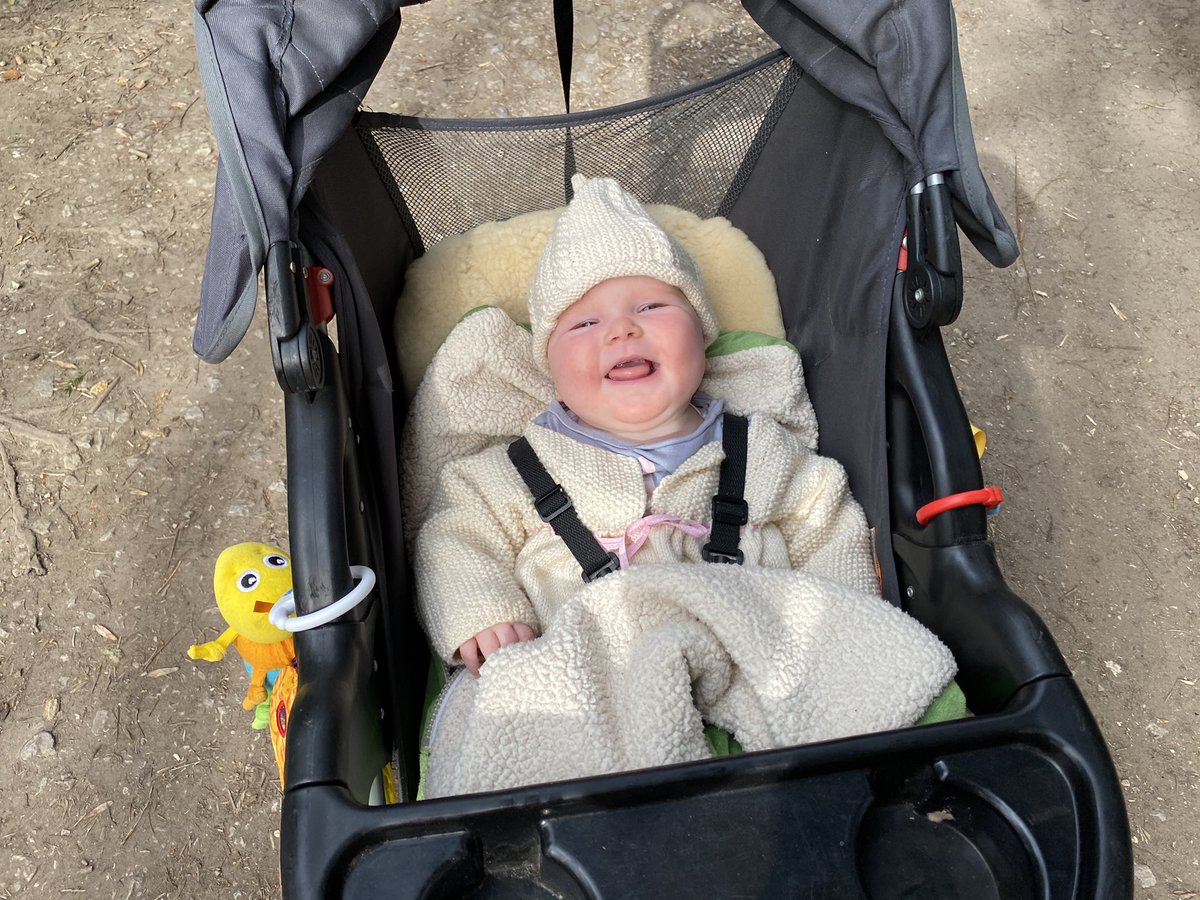 musingsofarunn1's tweet photo. Lovely 5 mile nap for 👶 this morning but I lost my cow cowl on the way down from the top 😢 #parkruntourist If anyone spots one on the loose in Baildon tweet me. #sadrunner @parkrunUK @SaltaireStrider @UKRunChat @runr_uk https://t.co/3ApS5nWgVp