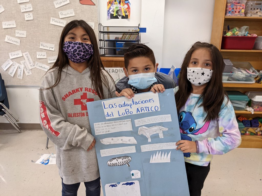 3rd Grade Diamonds tweet media