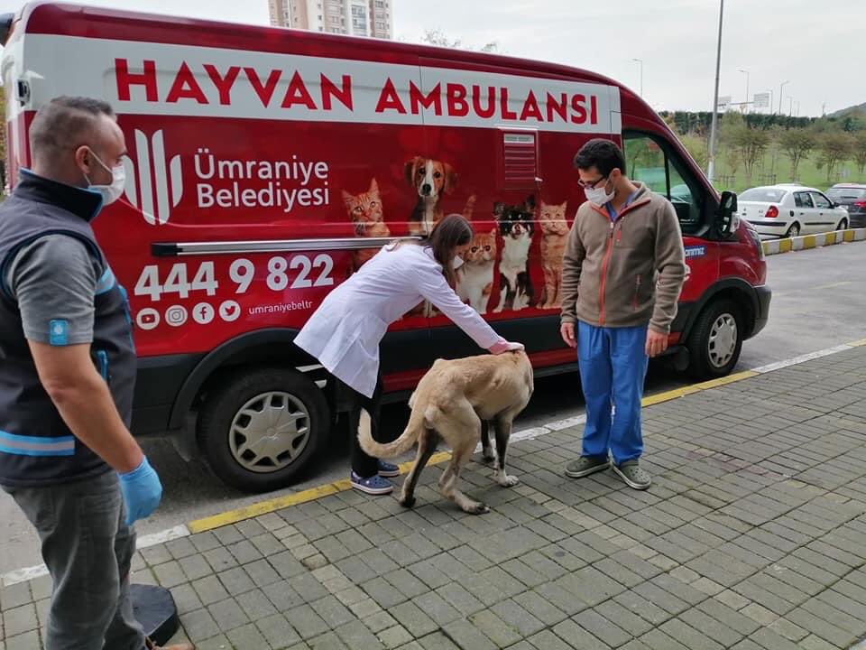 Dünya Veteriner Hekimler Günü’nü tebrik ediyorum.Hayvan Dostlarımız için  #ÜmraniyeBirBaşka 
#veterinerhekimlergünü 
🐕 #VeterinerHekimlerGunu