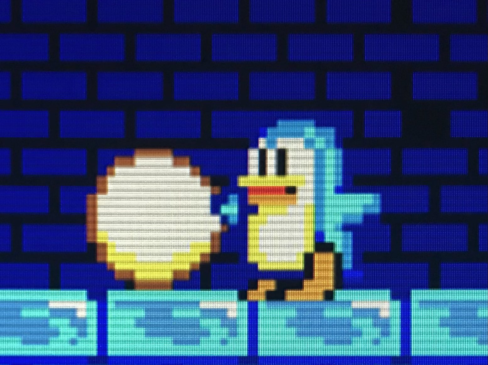 メガエンドウ 世界ペンギンの日 セガのゲームでペンギンの日 T Co Pyi3ljotkj Twitter
