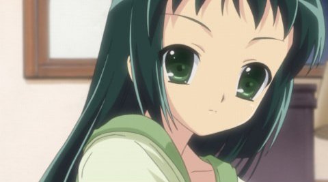 八重野撫子生誕祭