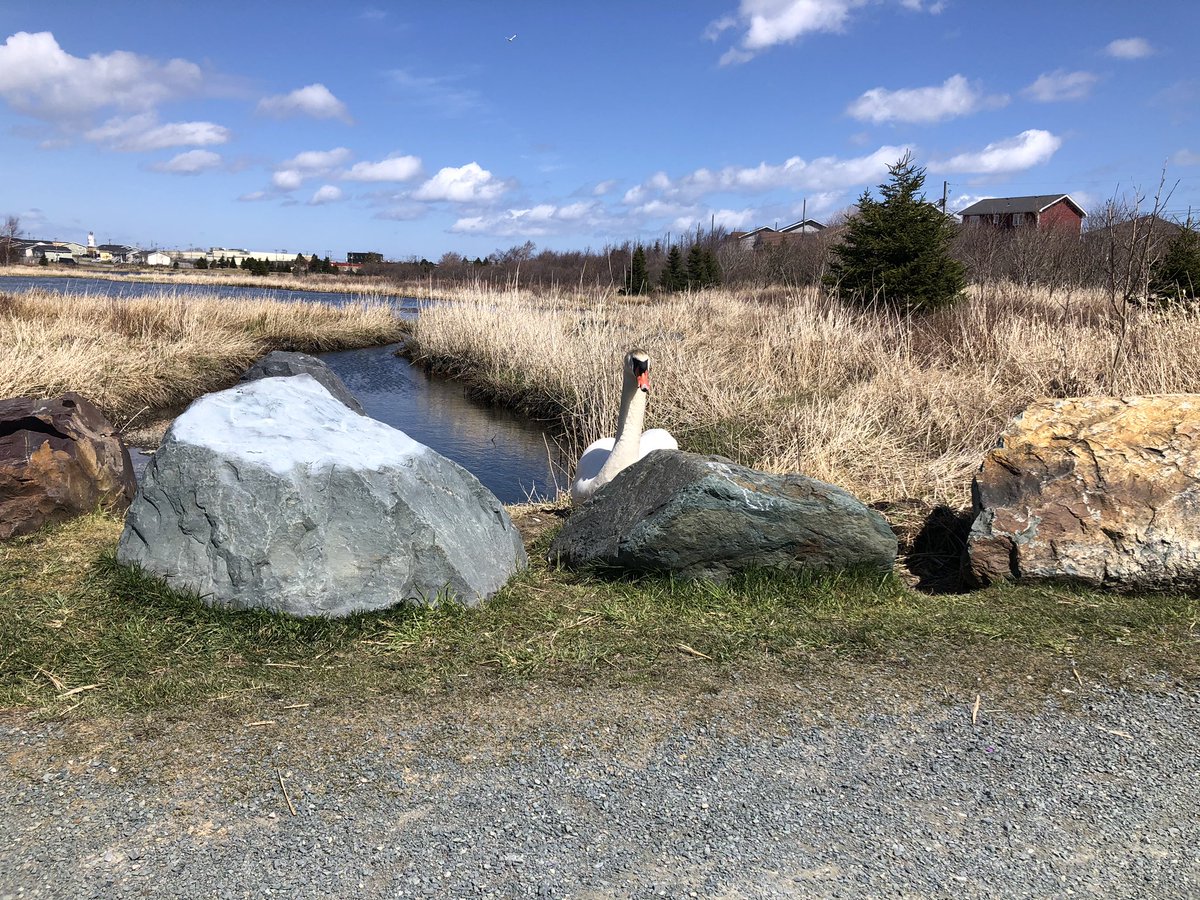 MUNengineer's tweet image. The feeling of #beingwatched