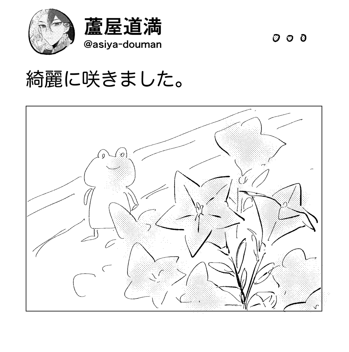 芸能人パロ晴道とファンのみんなです 