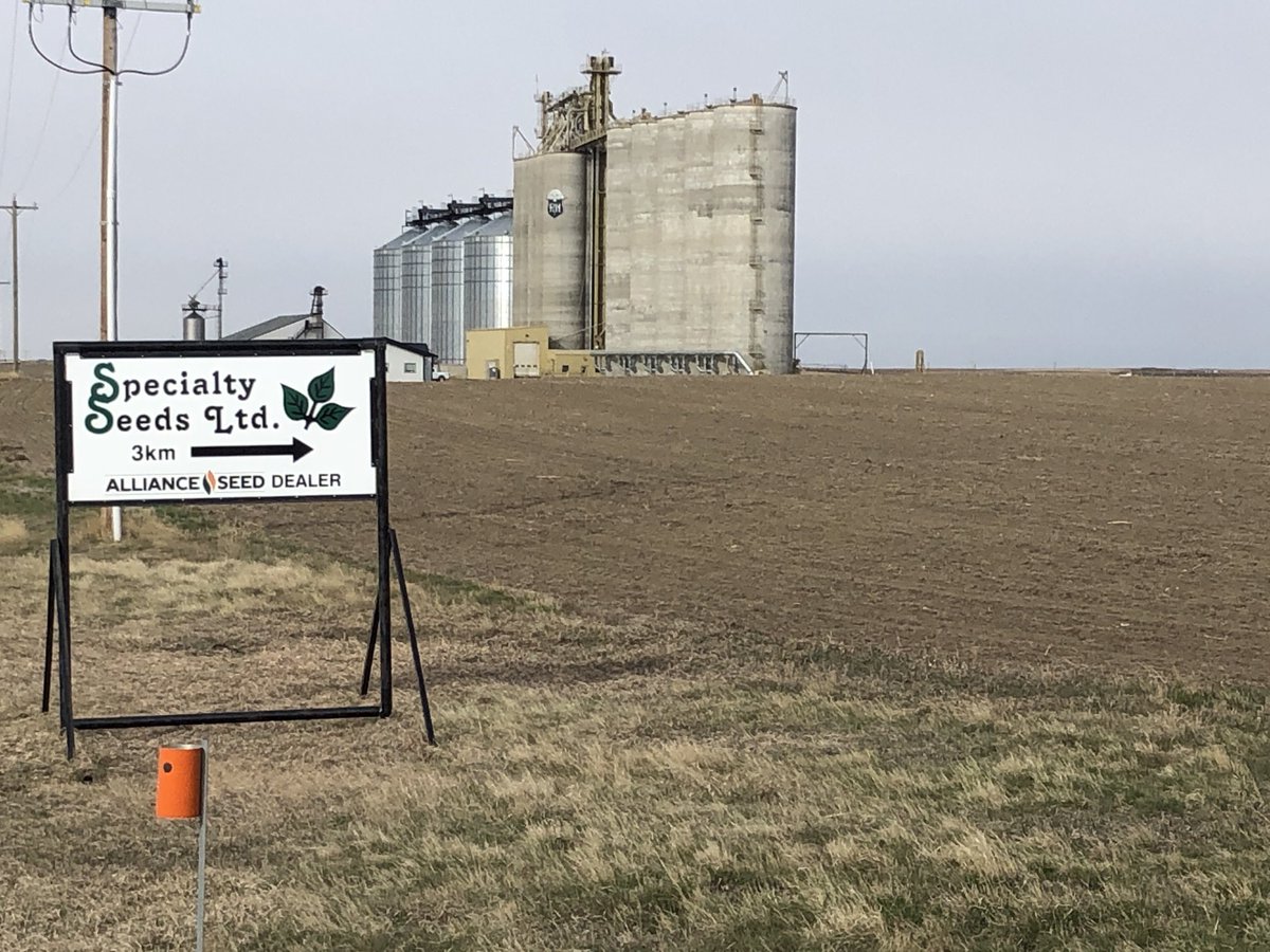 Seeded AAC LeRoy VB wheat on this P&amp;H site for a demo. AAC Elie is check variety in the centre. Watch for it in your travels this summer. ⁦@ALLIANCECTANNER⁩