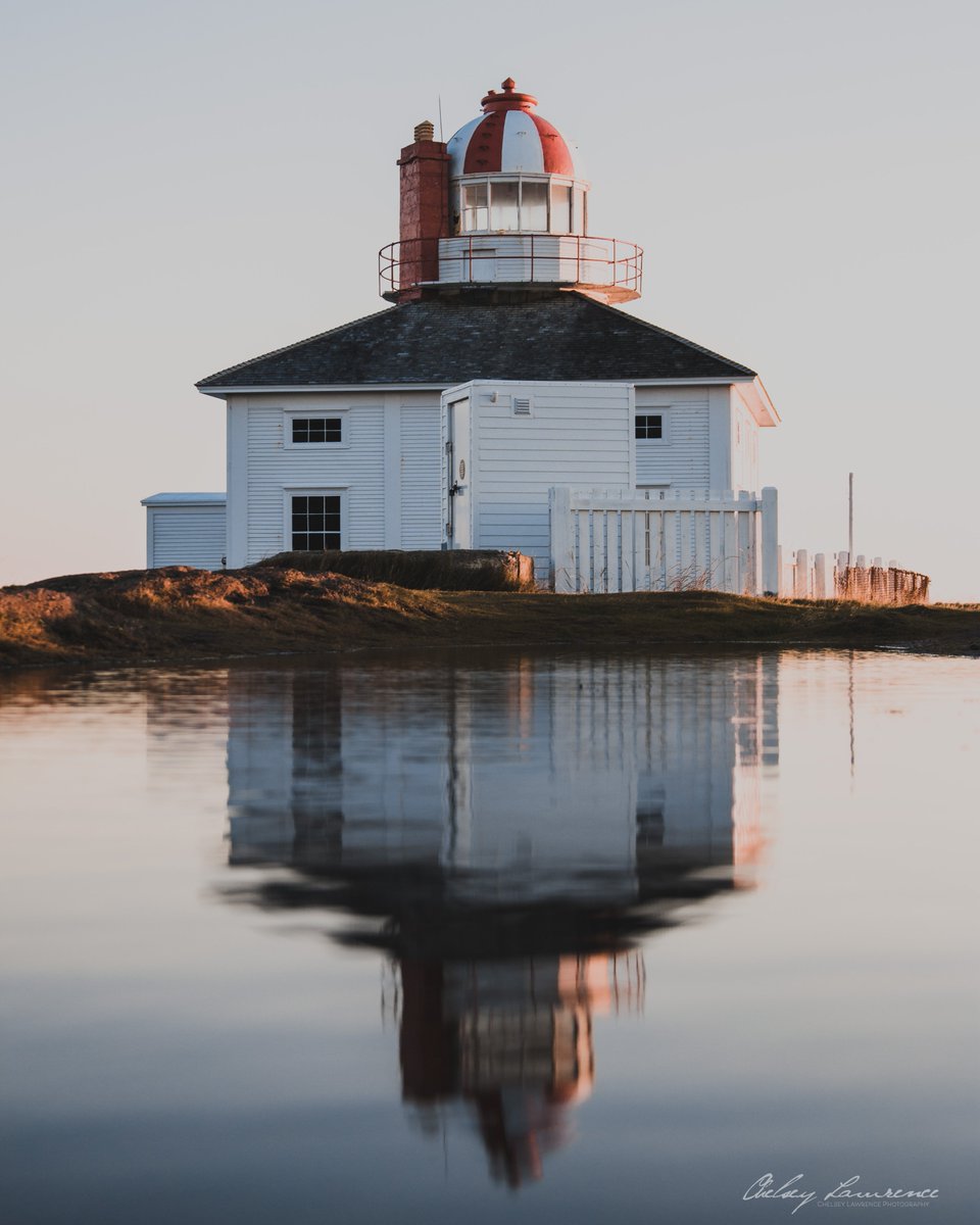 Chelsey Lawrence tweet media