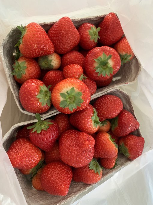 Juhuuuu endlich Erdbeeren 🍓 bekommen 😍 da steht dem Kuchen morgen nichts mehr im Wege 👍🏼👍🏼🎉 https://t<a href="/tag/sexy"class="tags"><span>#sexy</span></a><a href="/tag/live"class="tags"><span>#live</span></a><a href="/tag/highheels"class="tags"><span>#highheels</span></a><a href="/tag/online"class="tags"><span>#online</span></a><a href="/tag/cam"class="tags"><span>#cam</span></a>