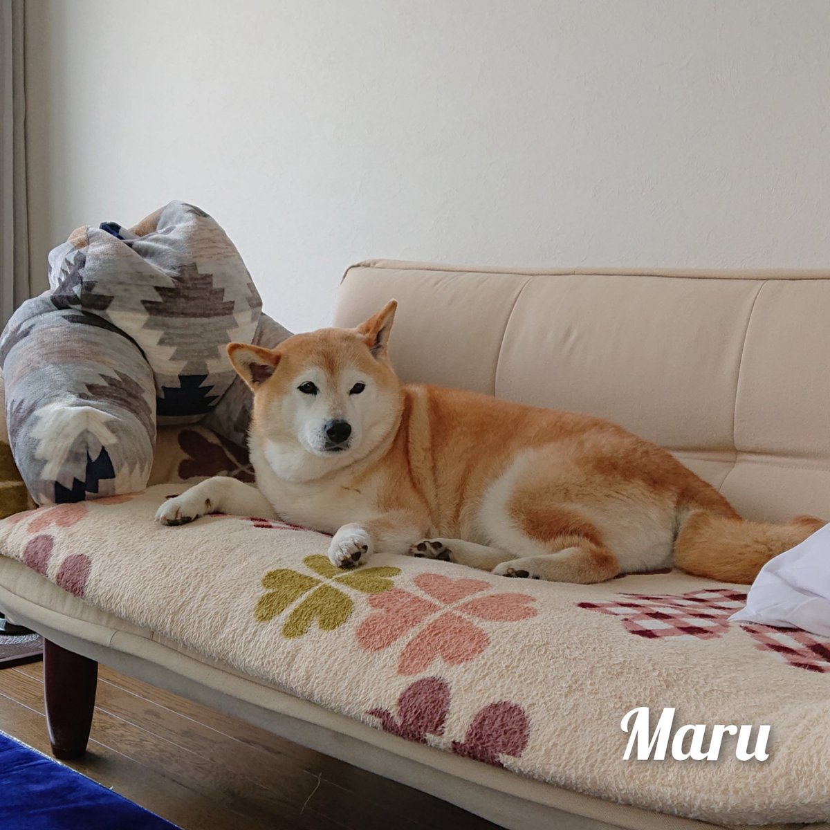 mutuke403's tweet photo. 親方が1時45分をおつたえします https://t.co/AABRWJI3Fe