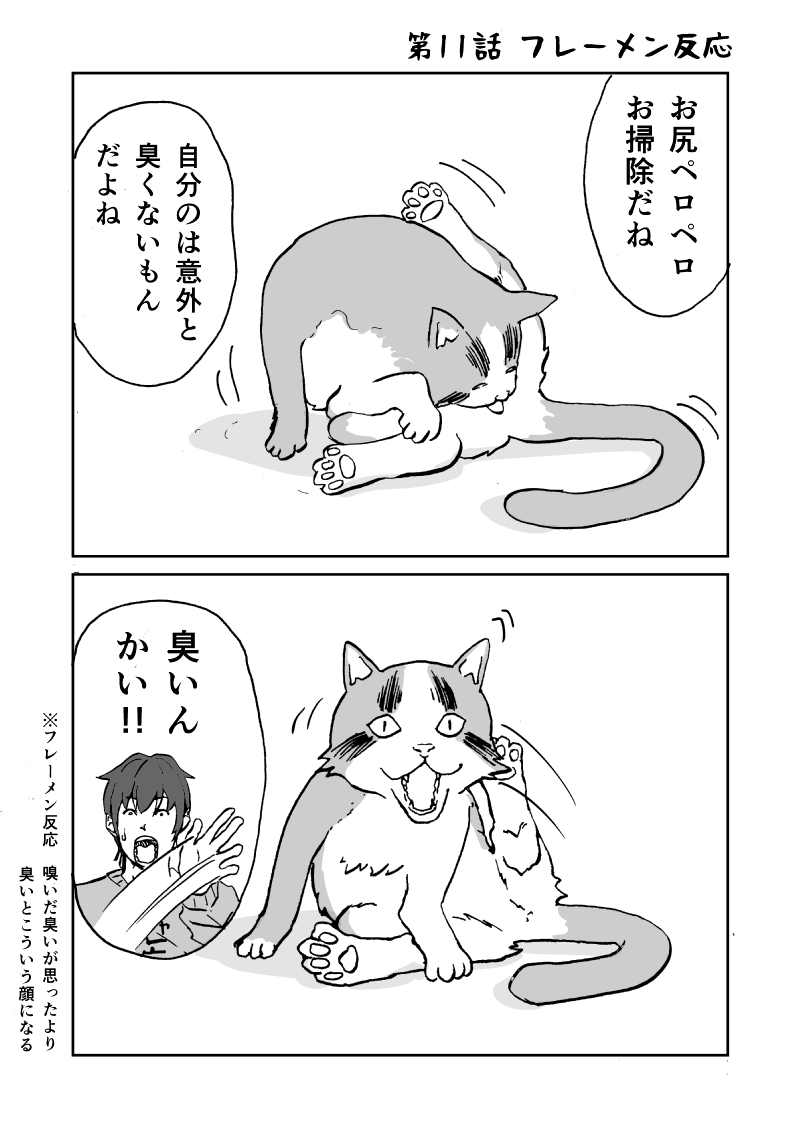 「ティッシュを占領するかまちょ猫」
第11話 フレーメン反応
#猫好きさんと繋がりたい
#漫画好きさんと繋がりたい 