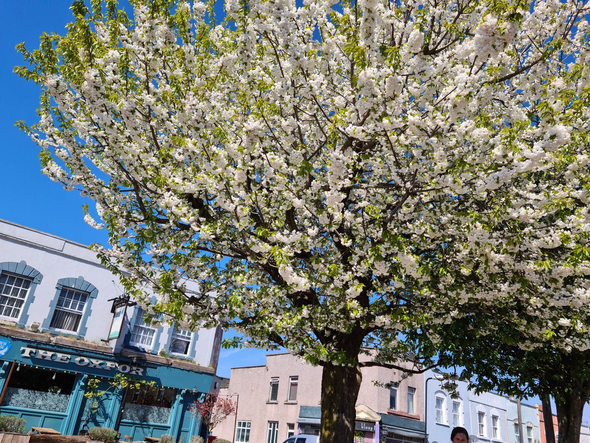 Adam Royle tweet media