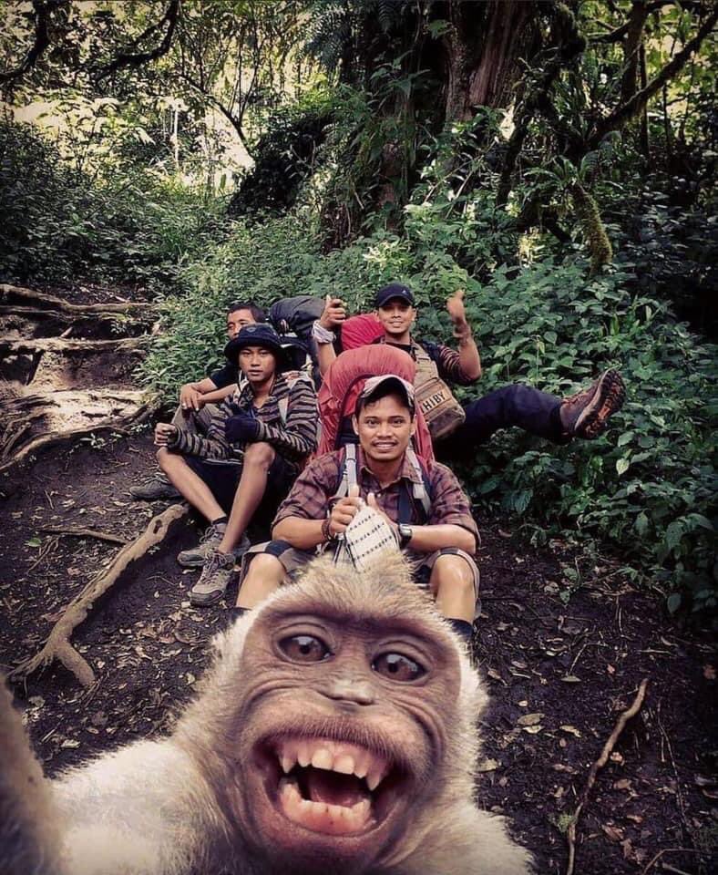 How I look when holding the selfie