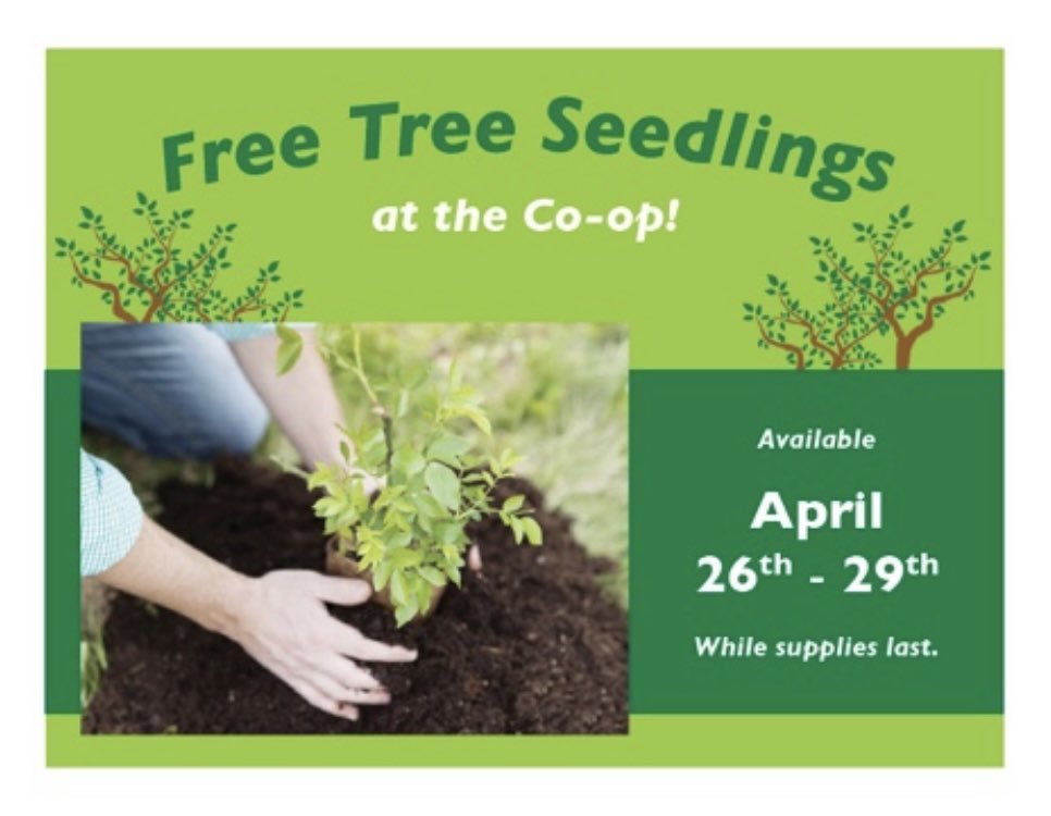 🌳One of our most popular events is just around the corner! 
Free tree seedlings are provided courtesy of the All-University Arboretum and Land Stewardship Committee at Winona State University and the Johnny Appleseed Initiative!💚😃
#bluffcoop #winonacoop #plantmoretrees