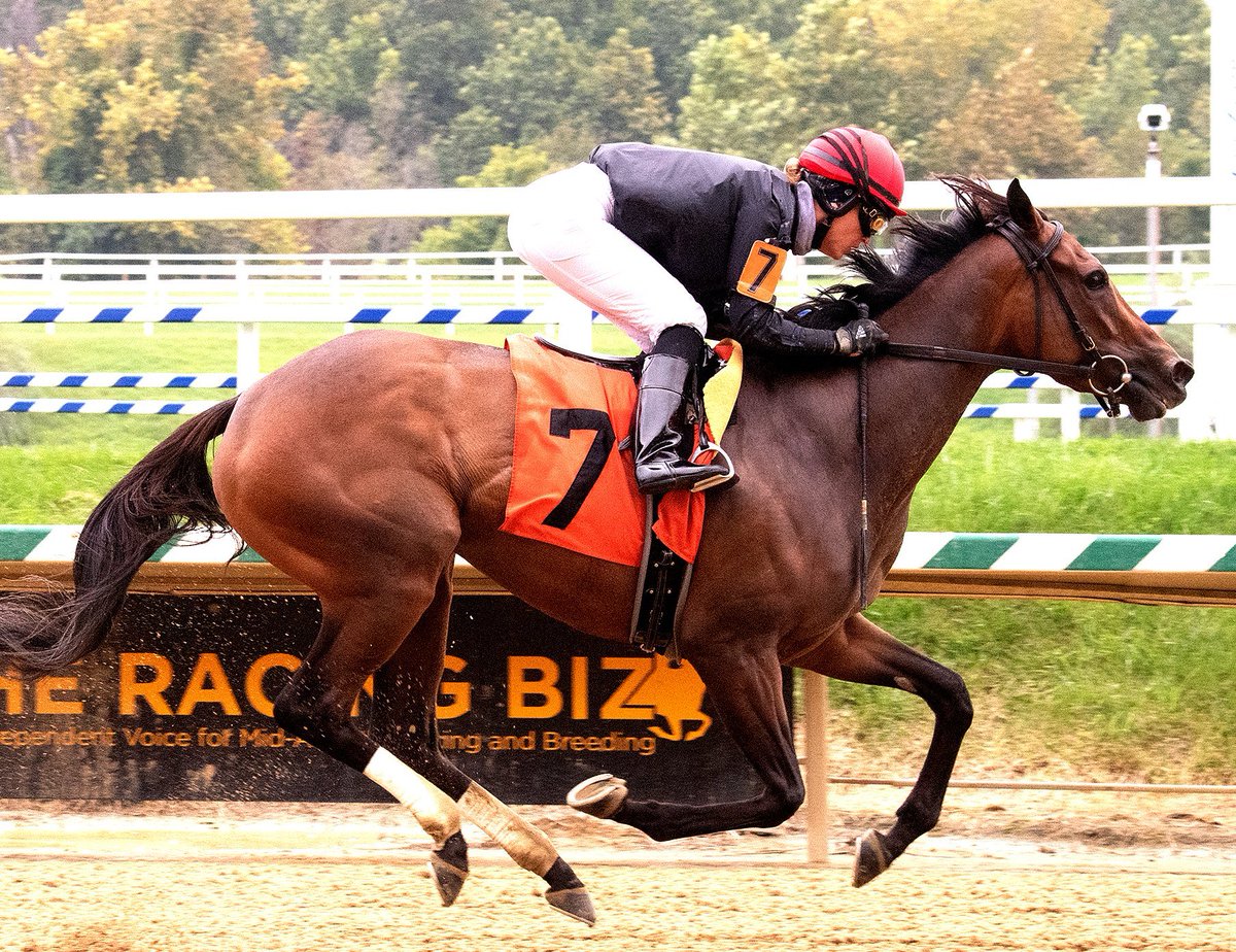 RACE DAY: TWO PHIPPS STAKES ENTRIES SATURDAY AT PIMLICO
🏆Vigilantes Way (4/f, Medaglia d'Oro) $100k Dahlia S, R6 #9, 8½fⓉ 8/5 ML fave, 3:25pm📸©James McCue
🏆Dreams of Tomorrow (4/c, Speightstown) $100k Henry Clark S, R8 #8, 8½fⓉ 12-1, 4:31pm
T-@ClaudeMcGaughey J-#ForestBoyce