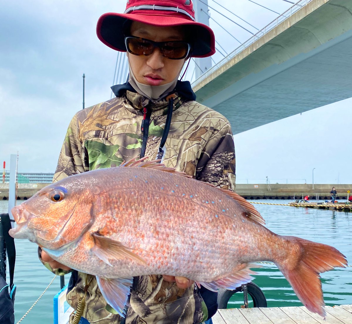 海釣りポート田尻