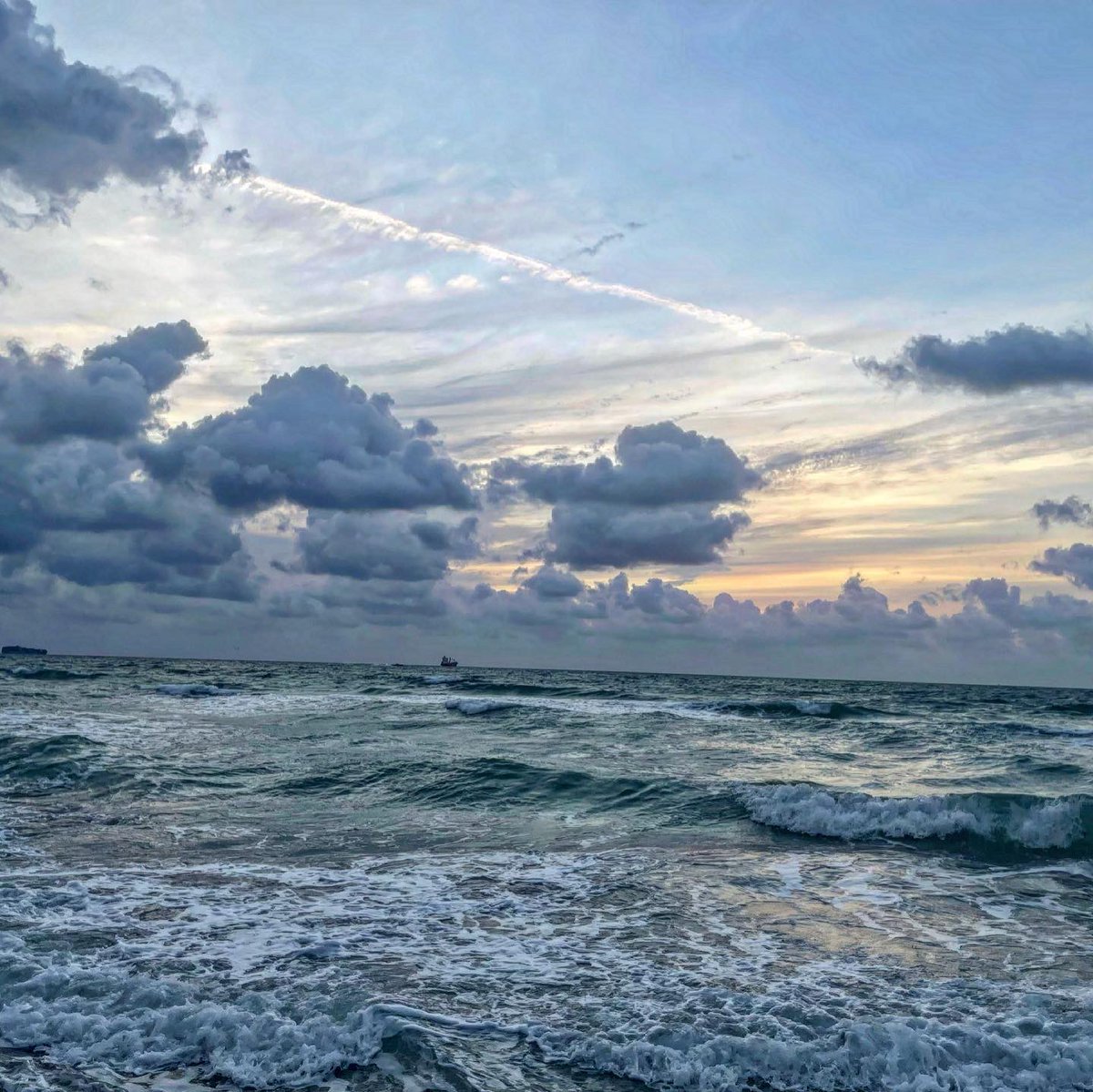 UrbanrunningNYC's tweet photo. #run #Miami #running #sunrise #beach https://t.co/KV8B1PWnp2