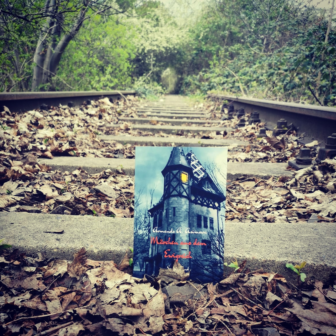 sekmodelabel's tweet photo. An die Leseratten da draußen: Es gibt neuen Stoff aus dem Ewigreich von Armands A. Asimowa #buchempfehlung #saalfelderessenkatzen https://t.co/yIfzzMq0L3