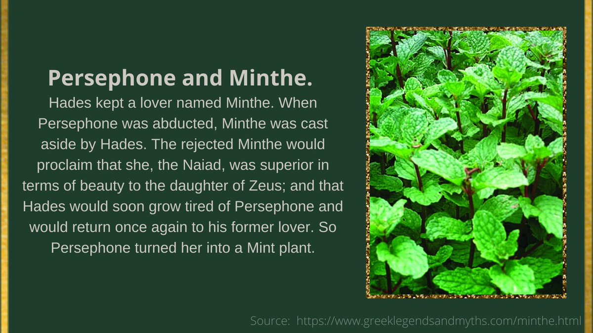 Traver_se's tweet photo. #FunFacts with #MotelMercury!
Persephone and Hades had an open relationship with both of them having (at least) one extra-marital affair. Persephone had Adonis (until it all went badly) and Hades had Minthe (until it all went badly). https://t.co/7to8W7HSb2