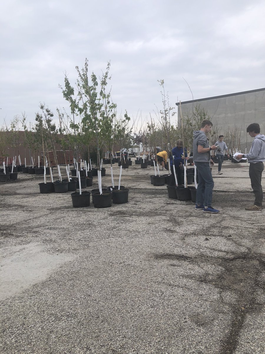 TODAY’S THE DAY!!! Be sure to read all the necessary documents and be in the right place at the right time, and let’s plant some trees!