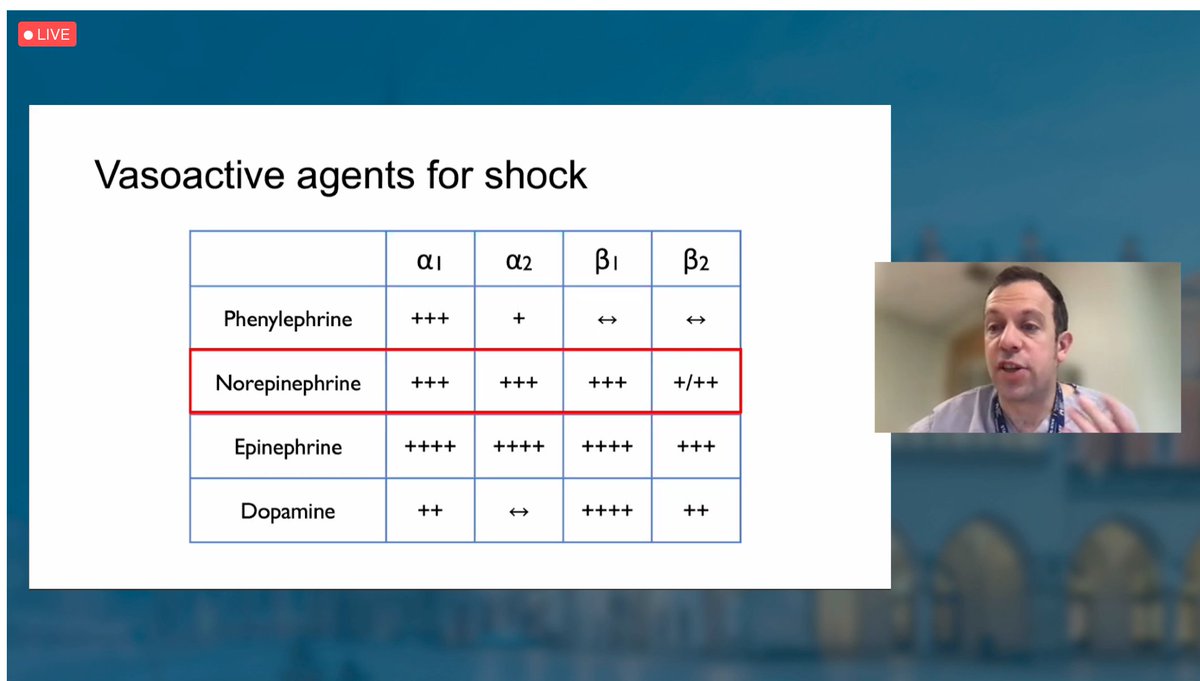 wszczeklik's tweet image. Znakomity wykład prof. Brama Rochwerga jak postępować w sepsie!
&apos;Sepsis treatment – beyond guidelines&apos;

thank you @Bram_Rochwerg  for being with us at the @ForumIntensywna conference!