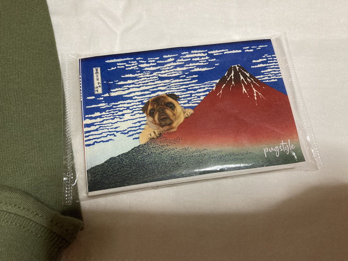 Hornet600pc34TL's tweet image. 今日の戦利品。
新発売のパグT
セール品のパグロンT
サービスで頂いた和なパグポケットティッシュU^ェ^U 
#pugstyle
#ワズスタイル
#パググッズ