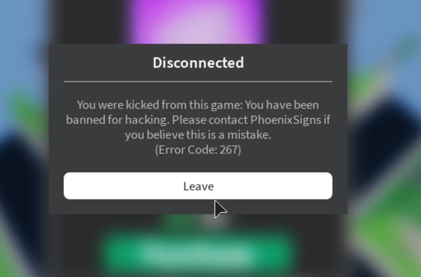 YashemSupreme's tweet photo. @ProjectSupremee no wonder you stopped playing strucid. I haven't played for a year straight nor have i hacked. https://t.co/C8TlXUbza6