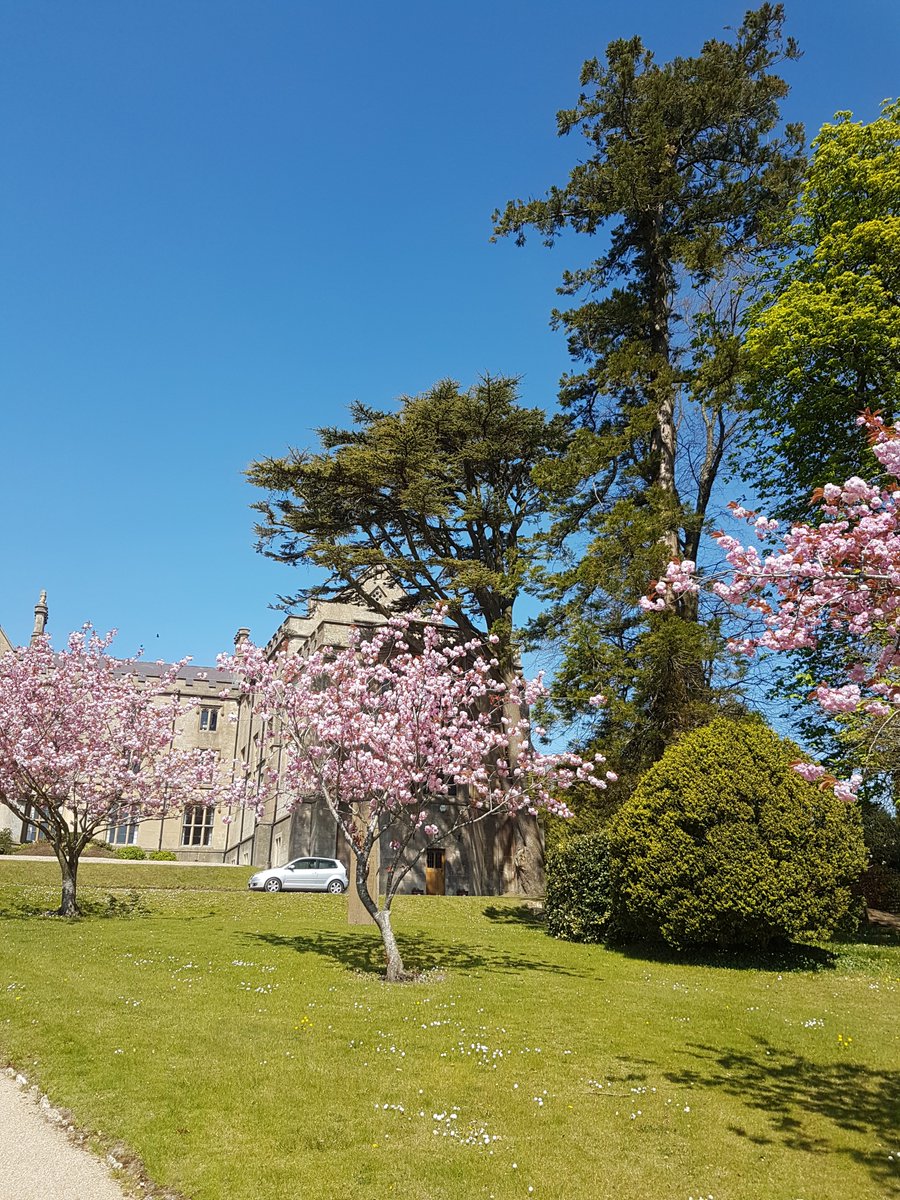 Kingswood Sixth Form tweet media