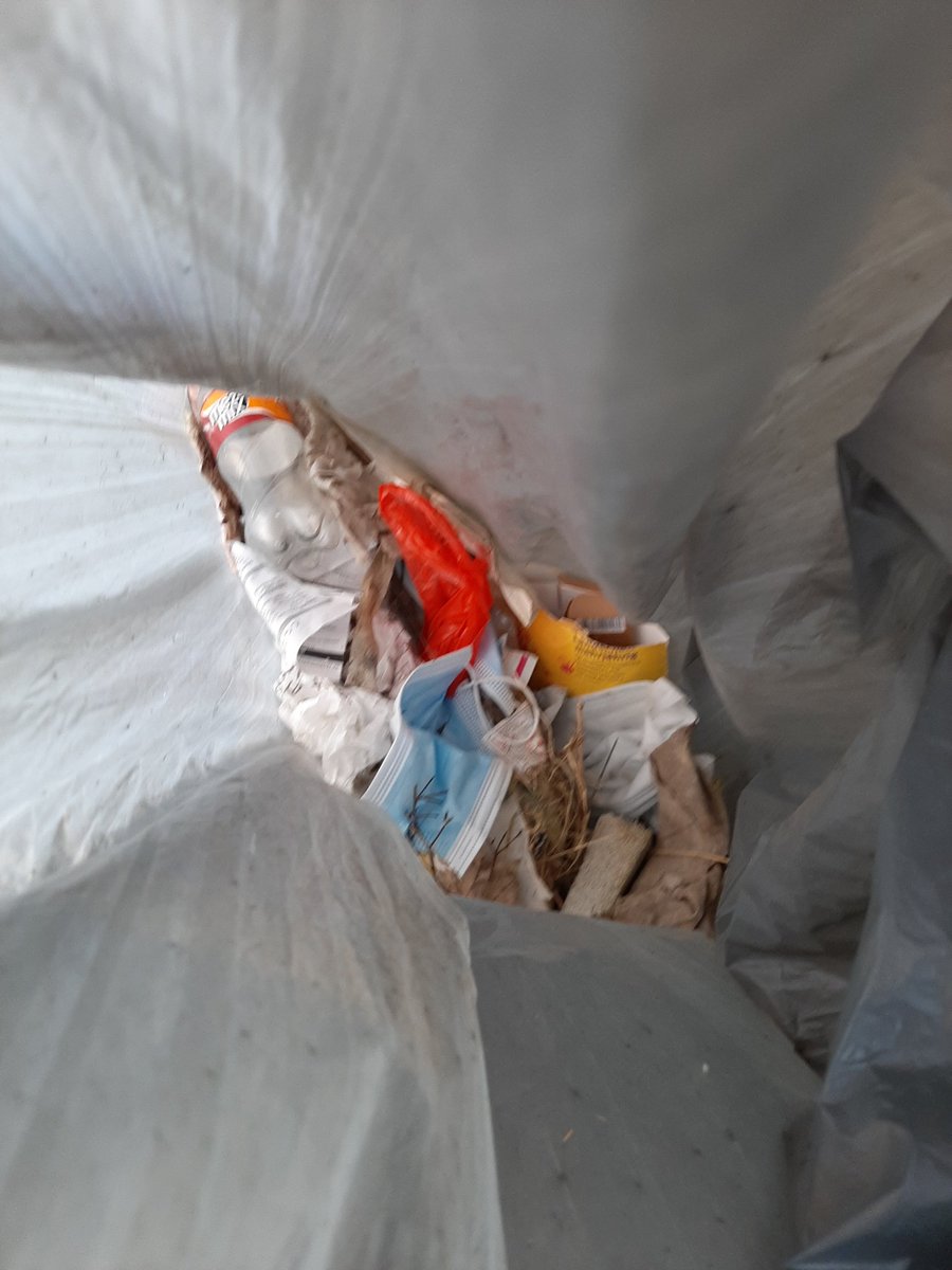 VVampirette's tweet photo. @Agenturhund_K 
#cleanupdogchallenge
#dogsForFuture

Wir haben Müll gesammelt und das war nur das Ergebnis einer Strecke von 50m: https://t.co/ciigbe7SvE