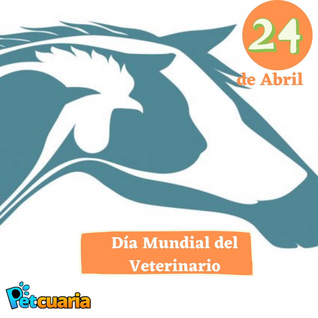 PetcuariaRD's tweet photo. ¡¡ Felicidades en su día!!! https://t.co/A6fYOp86cC