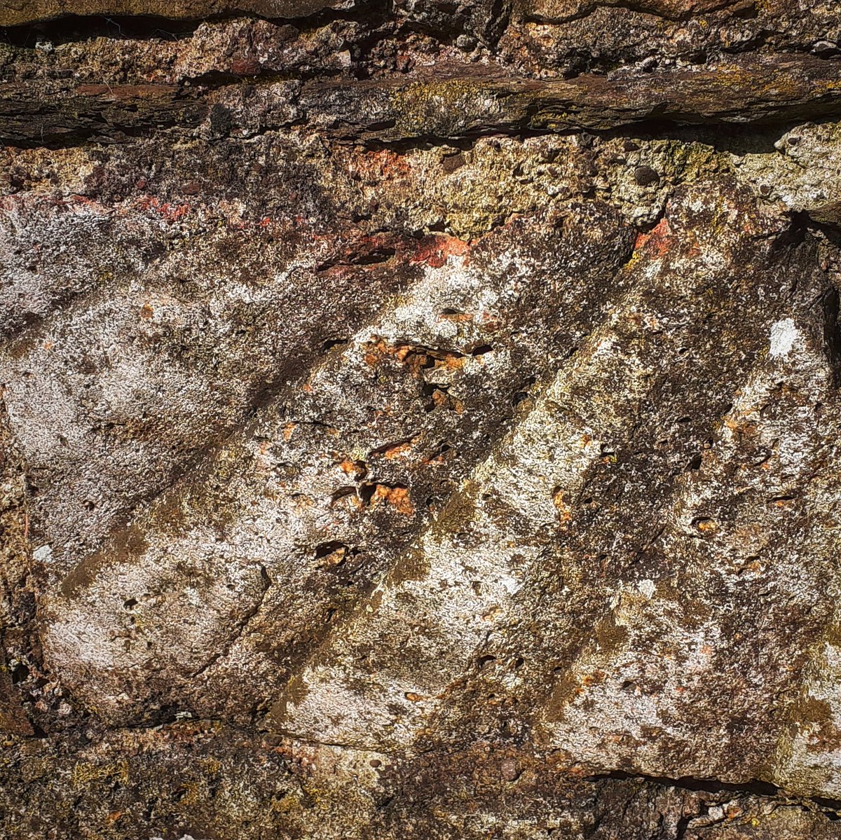 Glanmire Twitter Search