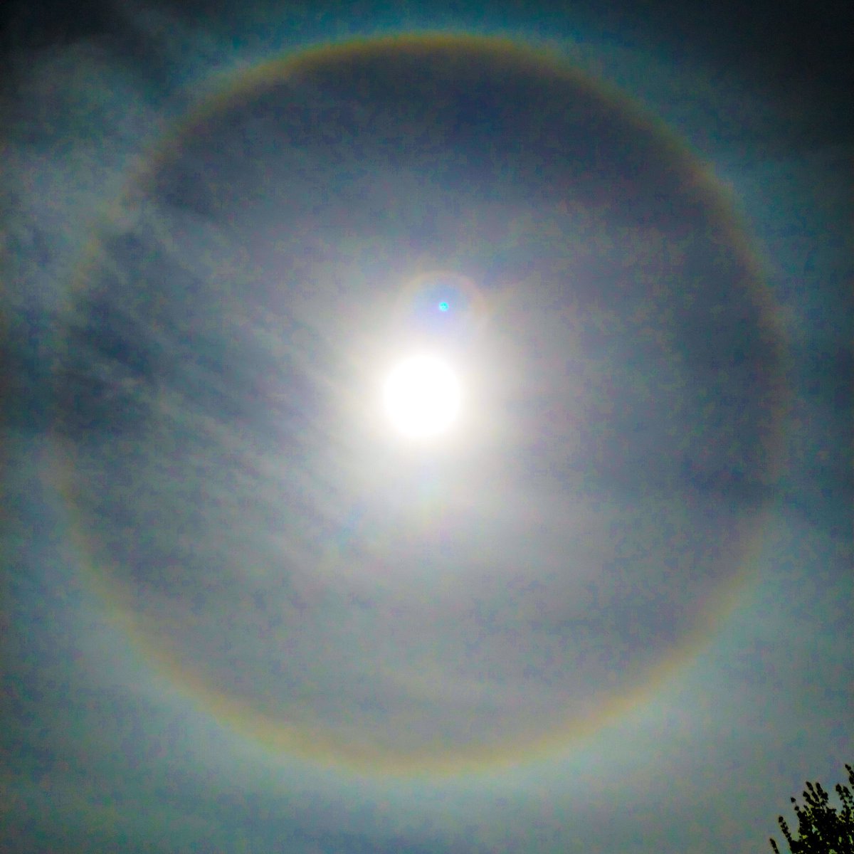 DPvanLoo's tweet image. #halo om de zon @Alpenweerman @Weerplaza @BuienRadarNL @weeronline @marcopverhoef @helgavanleur @GerritHiemstra