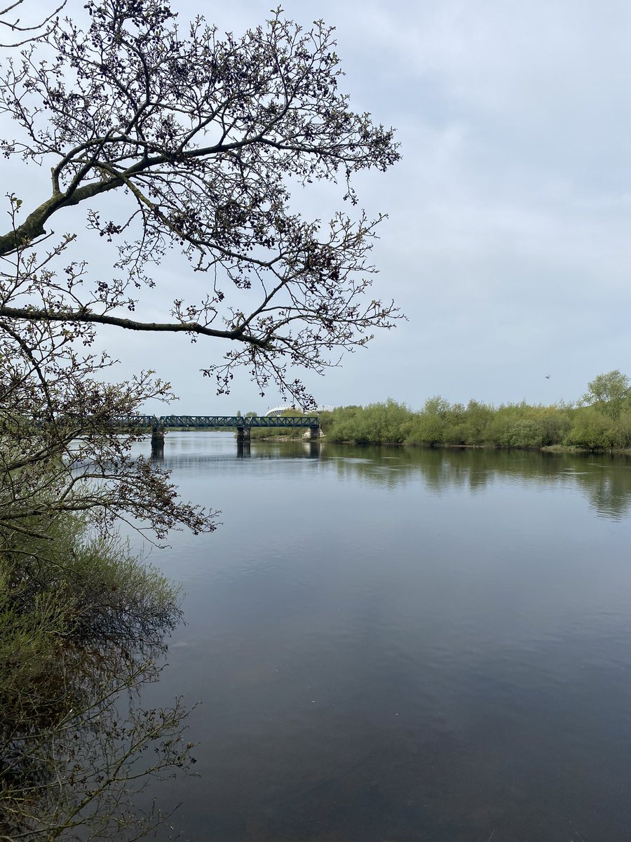 Barry Murphy tweet media