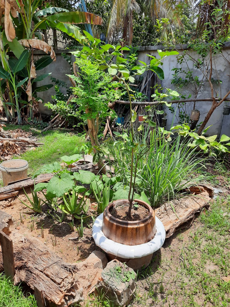 Bunsa Sean (@bunsasean) on Twitter photo 