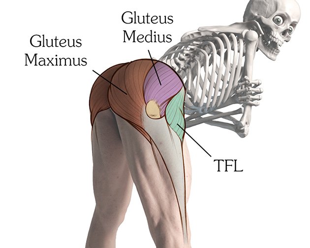 The true essence of going to gym that is building strength, is being forgottenGym is slowly becoming a place for degeneracy Chicks flaunting their Gluteus maximus and chicks disguised as chads flaunting their only developed part of body that is biceps.