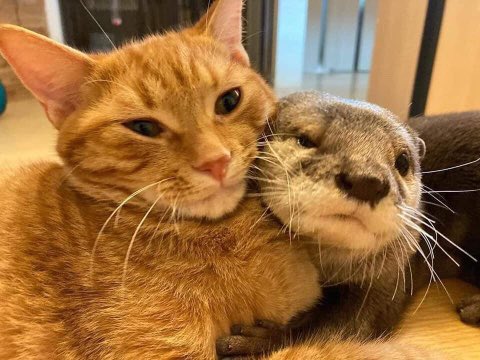 뻠뎨가 이런 느낌으로 셀카 찍어서 올려줬으면 좋겠다