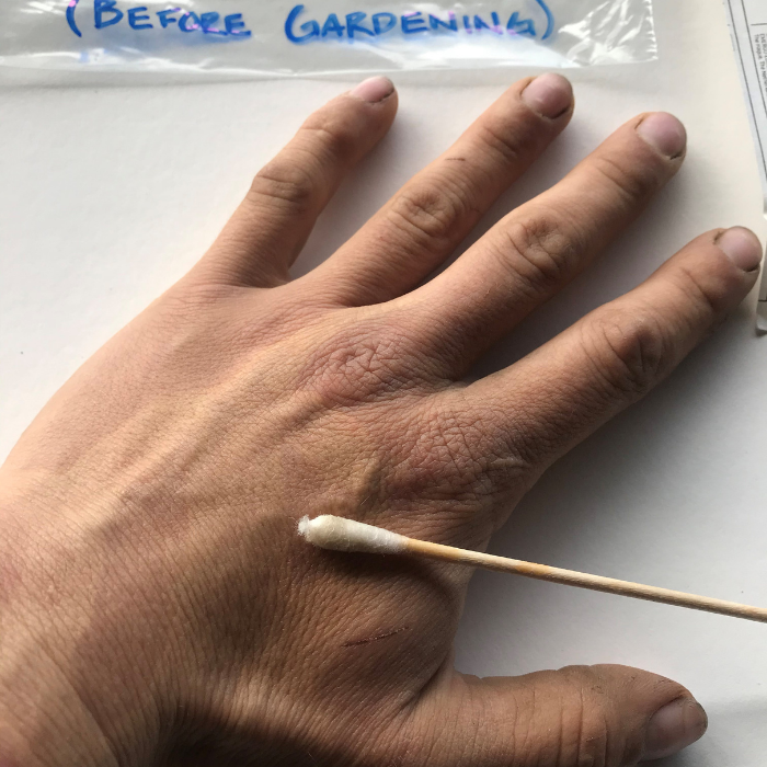 cotton swab on hand
