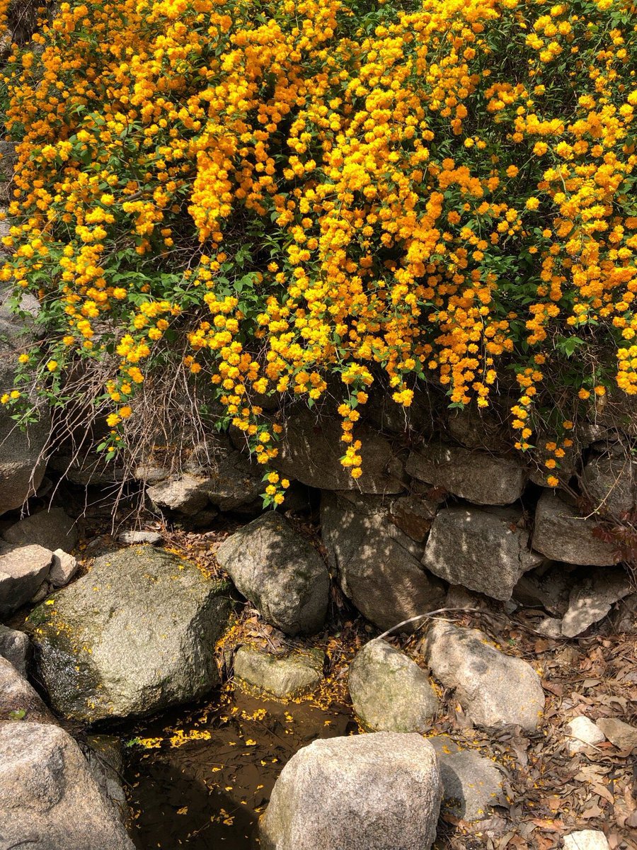 지영환 Ji YOUNG HWAN (@sssseoulsss) on Twitter photo 