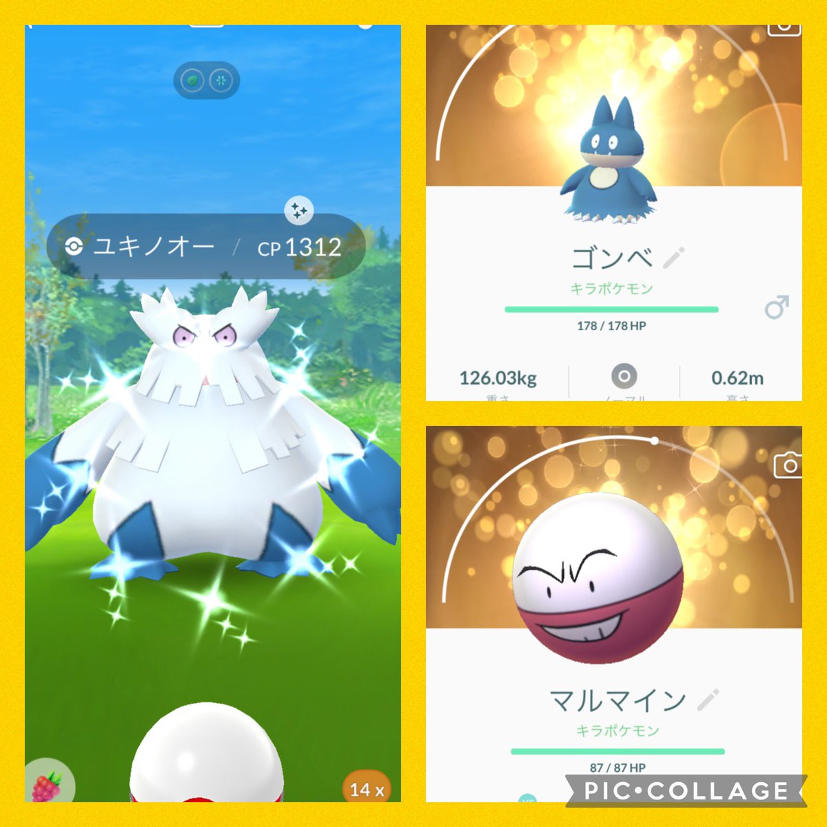 ポケモンgo ユキノオーの色違い 入手方法と実装状況 攻略大百科 ポケモンgo ユキノオーの色違い 入手方法と実装状況 攻略大百科