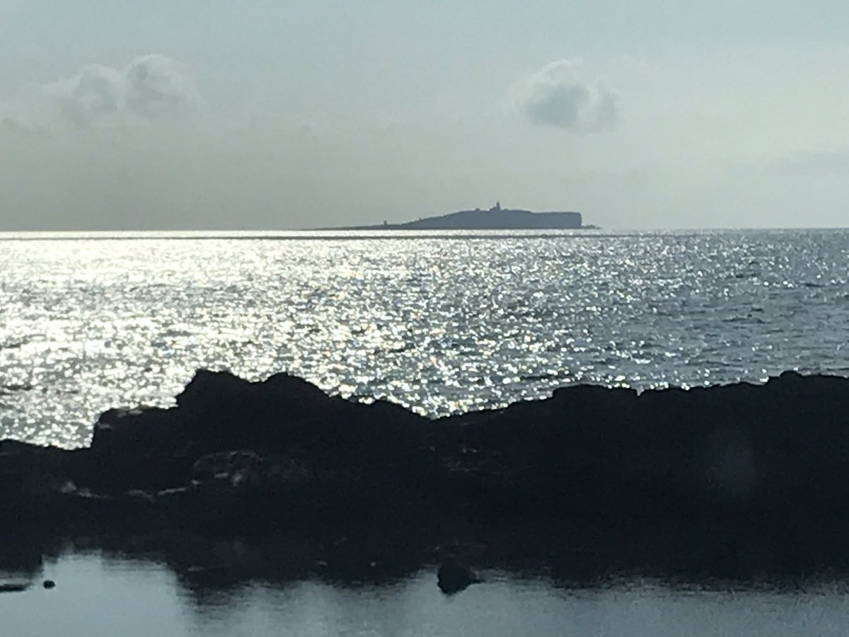 What a beautiful morning it was in #Cellardyke ! #EastNeuk #Fife