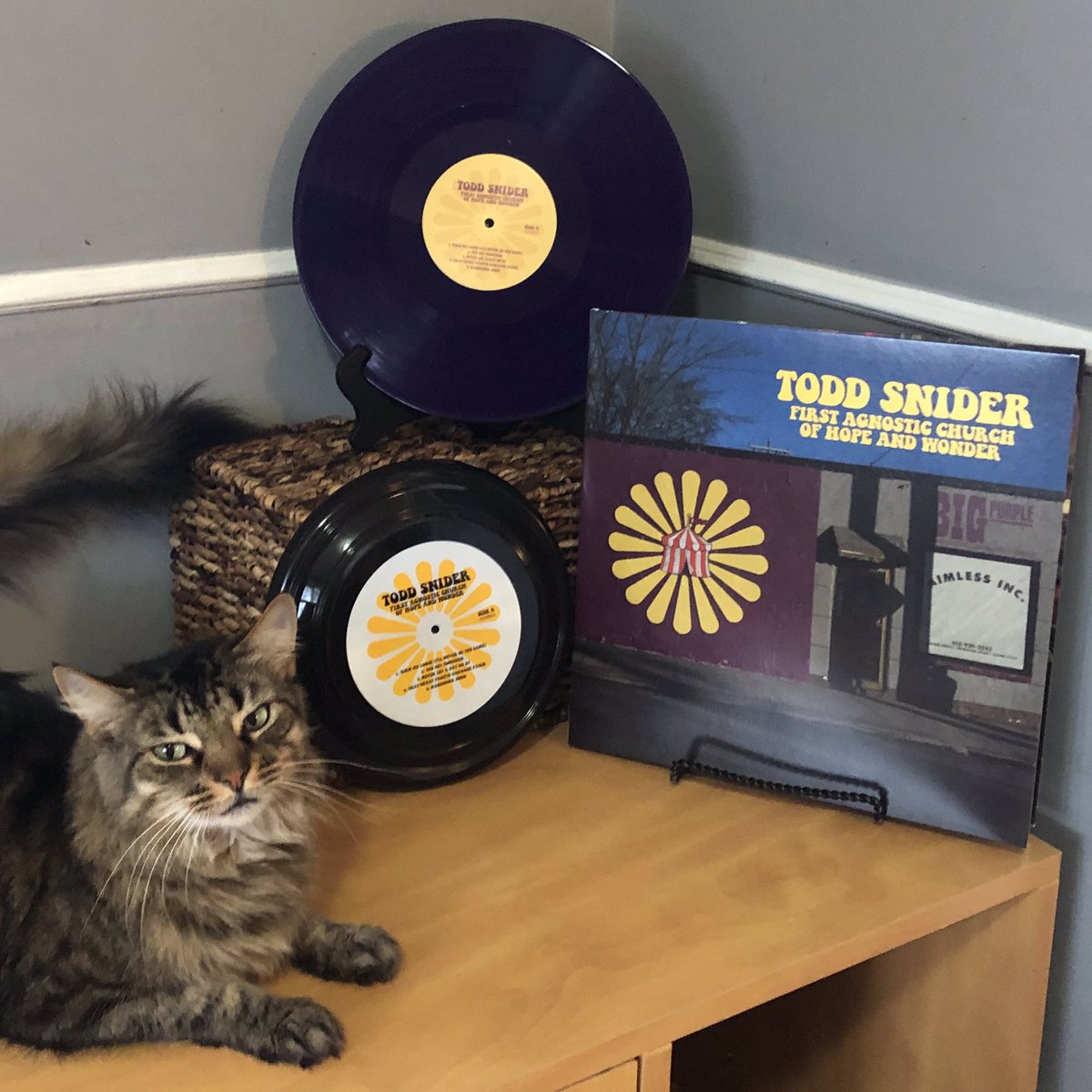 jsmallseattle's tweet photo. SATURDAY SPINS
FIRST AGNOSTIC CHURCH OF HOPE AND WONDER (2021)
Here is Iggy with the brand new LP from @ToddSnider . It even came with a frisbee. Head on down to your local record store and pick one up yourself.
#ToddSniderRules https://t.co/pjTdLvwF1c
