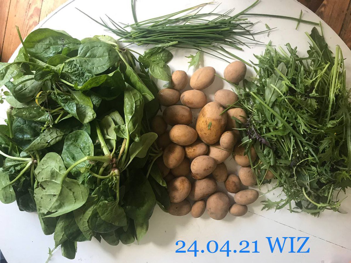 So toll sieht schon die 2. Lieferung im Erntejahr bei uns aus! Es gibt noch wenige freie Mitgliederplätze bei uns= werde Solawista!